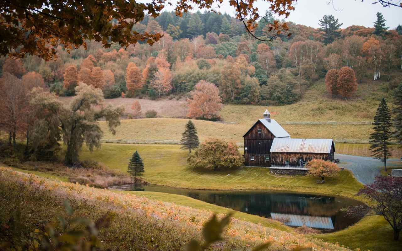 Kuća u prirodi sa veštačkim jezrom u dvorištu. 