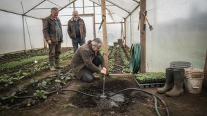 Muškarac kleči u plasteniku i podešava sistem za navodnjavanje dok dvojica muškaraca stoje