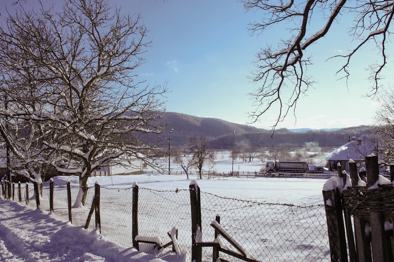 Zimski pejzaž u srpskom selu