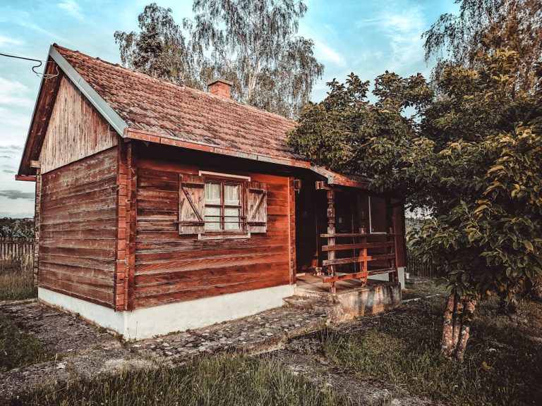 Drveće oko drvene kuće